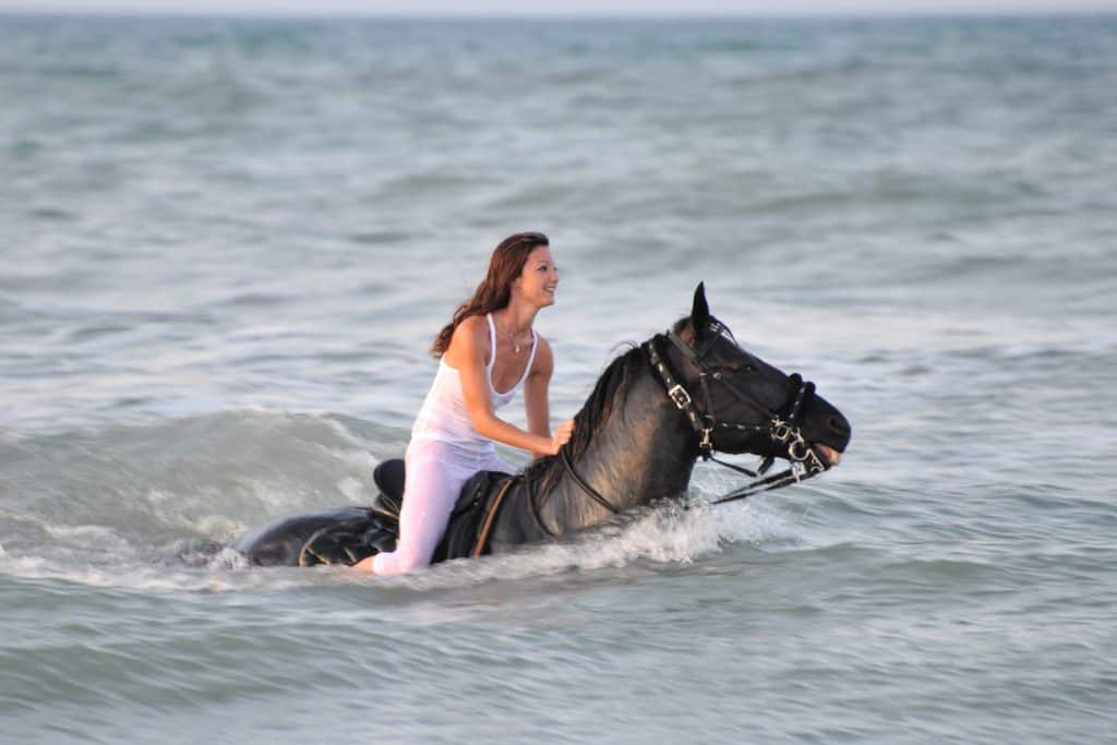 can horses swim?