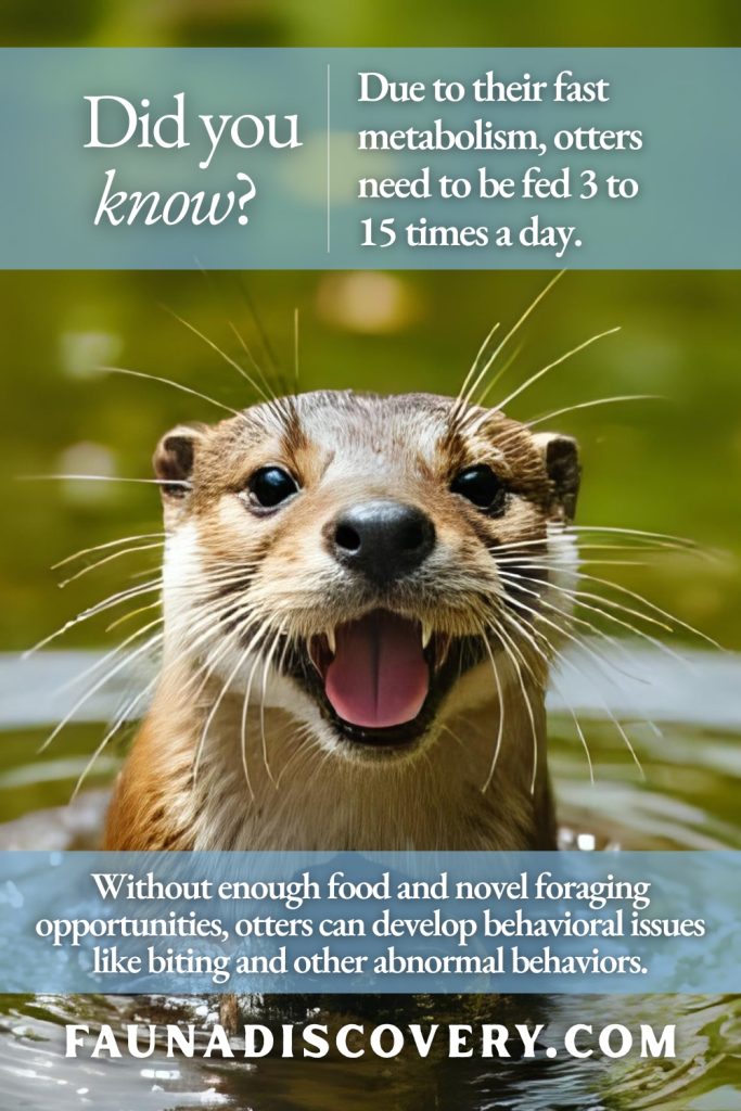 otters