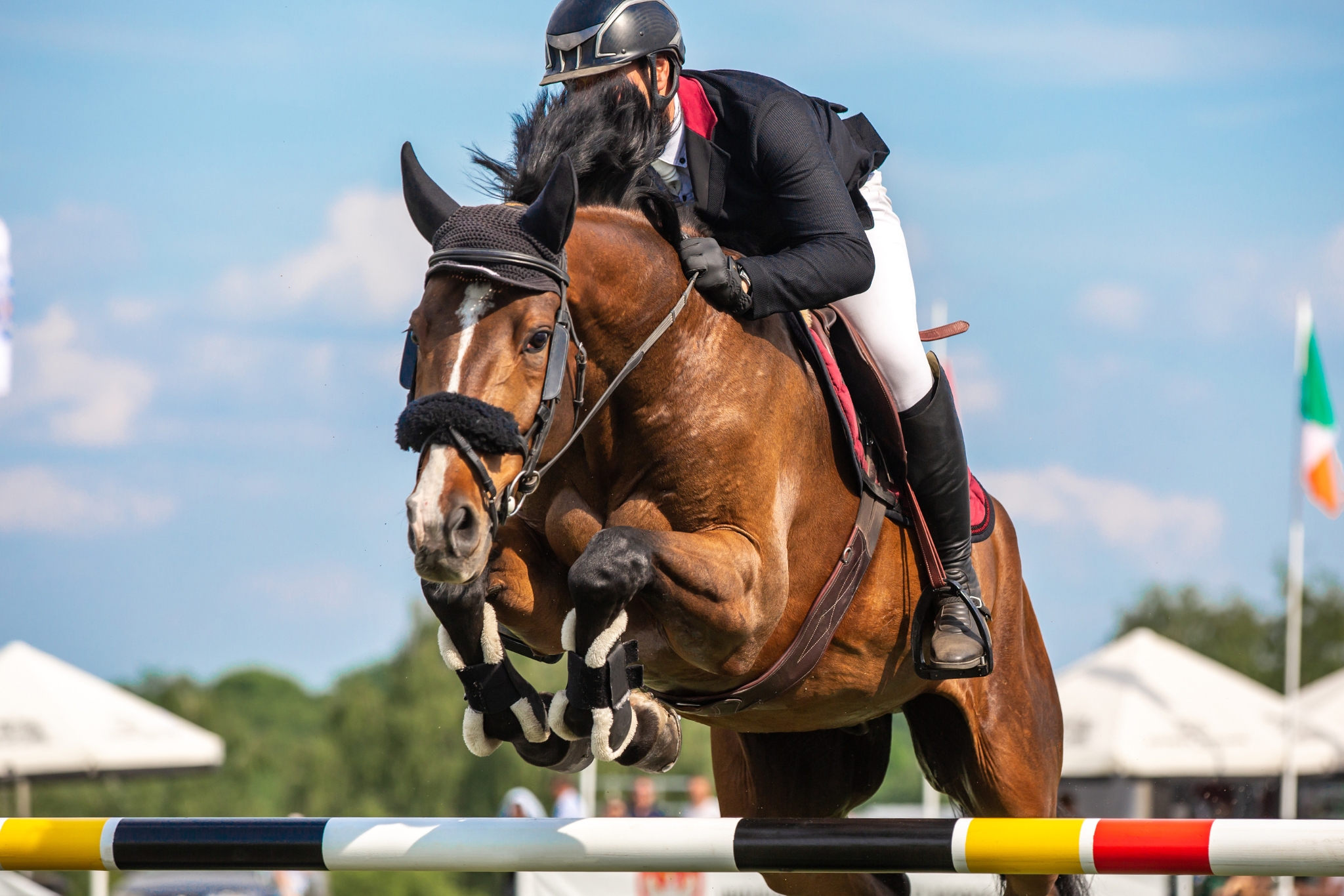 show jumping
