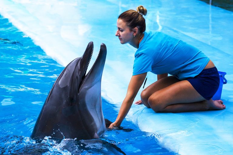 Marine Mammal Trainer