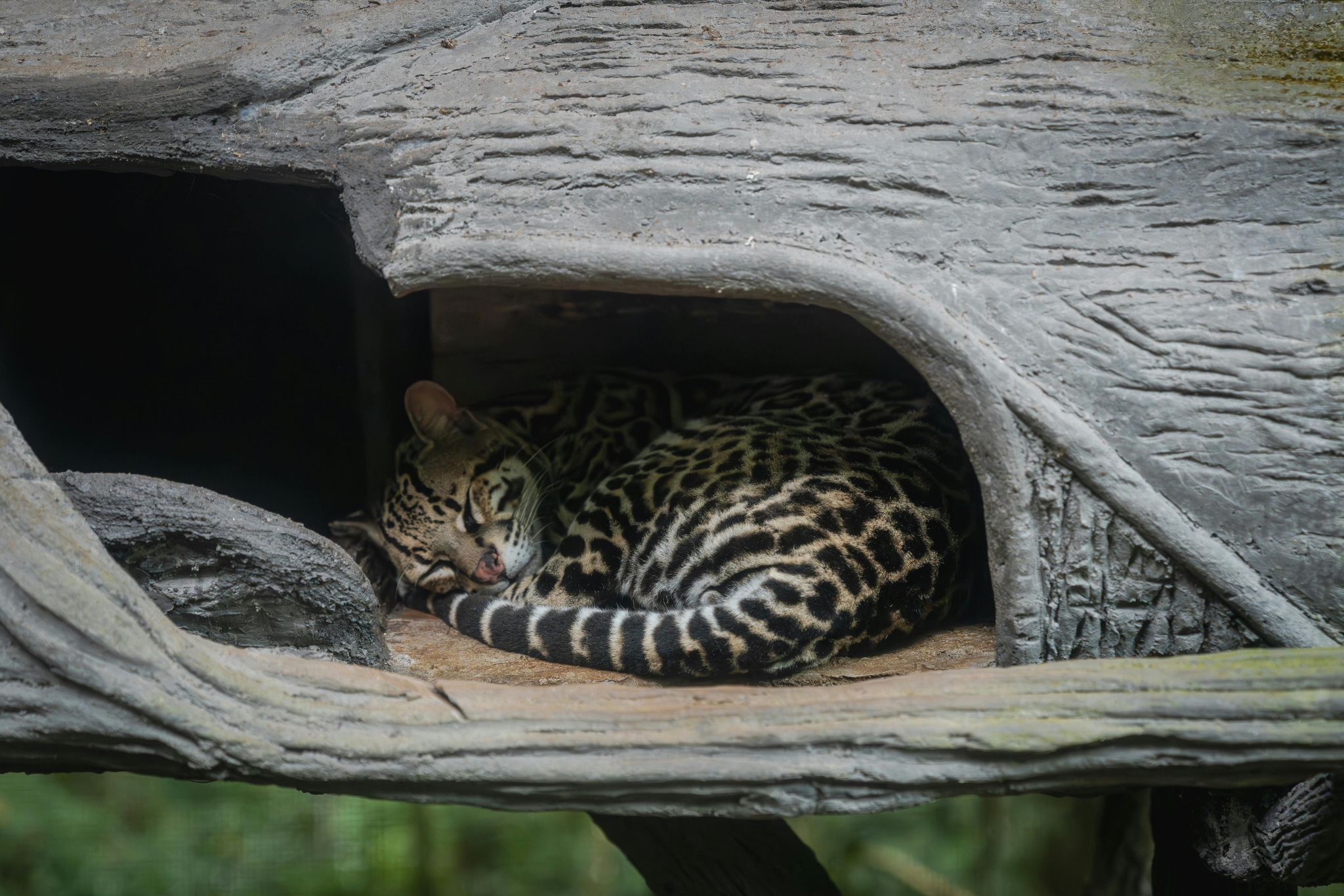 Wildlife Sanctuary