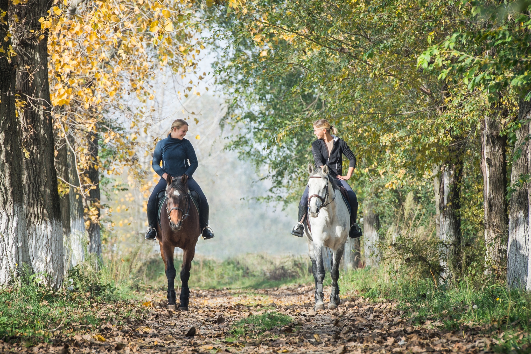 Trail Riding with your horse