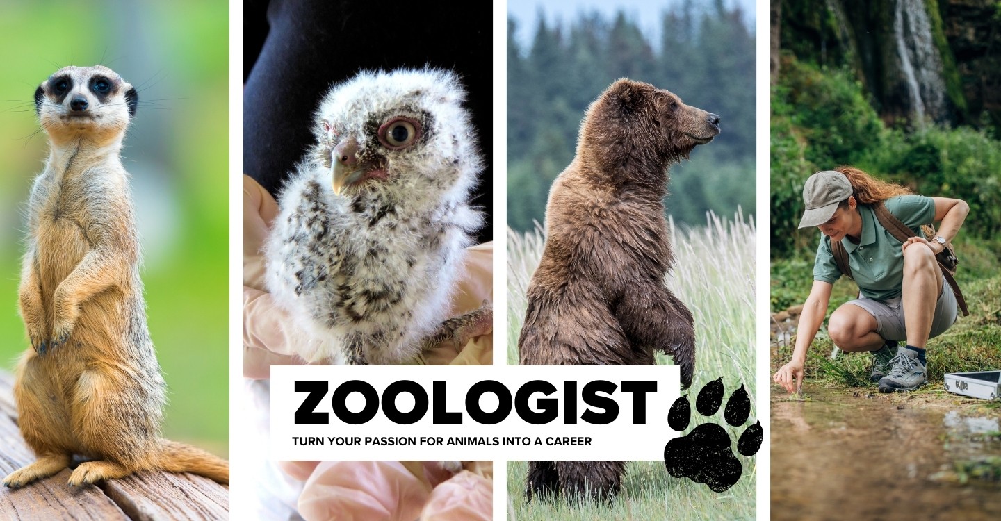 zoologist