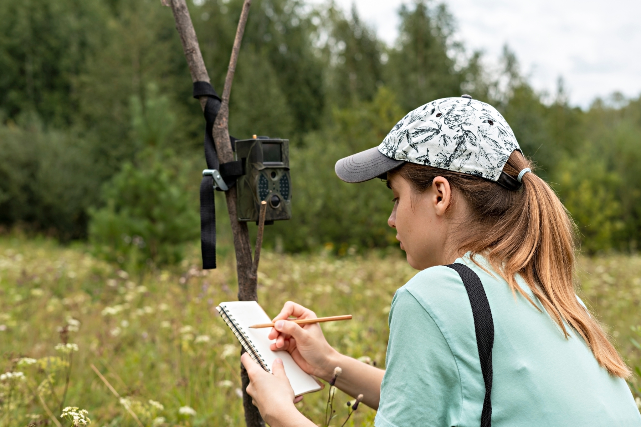 What Is a Zoologist? Salary, Education & Job Outlook
