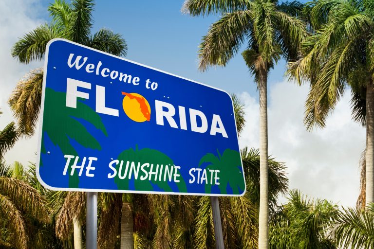 Florida Exotic Pet Laws: What You Can (and Can’t) Own