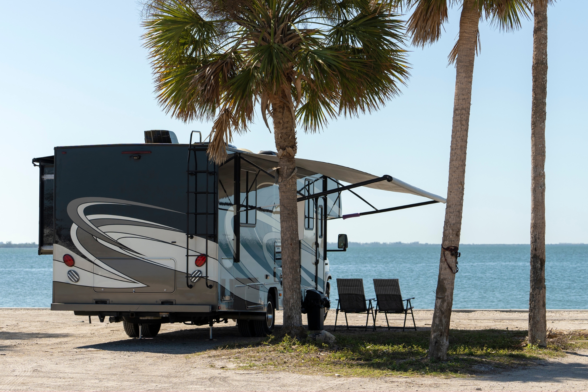 Taking Your Exotic Pet to Florida