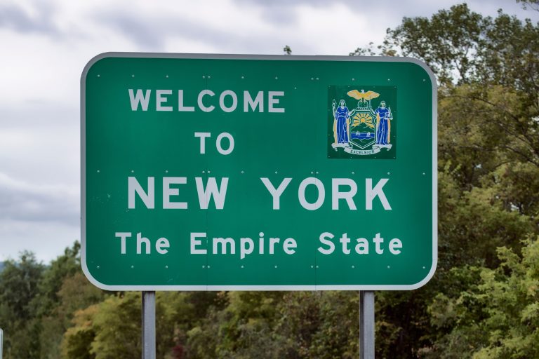 New York Exotic Pet Laws: The Surprisingly Long List of What's Actually Legal