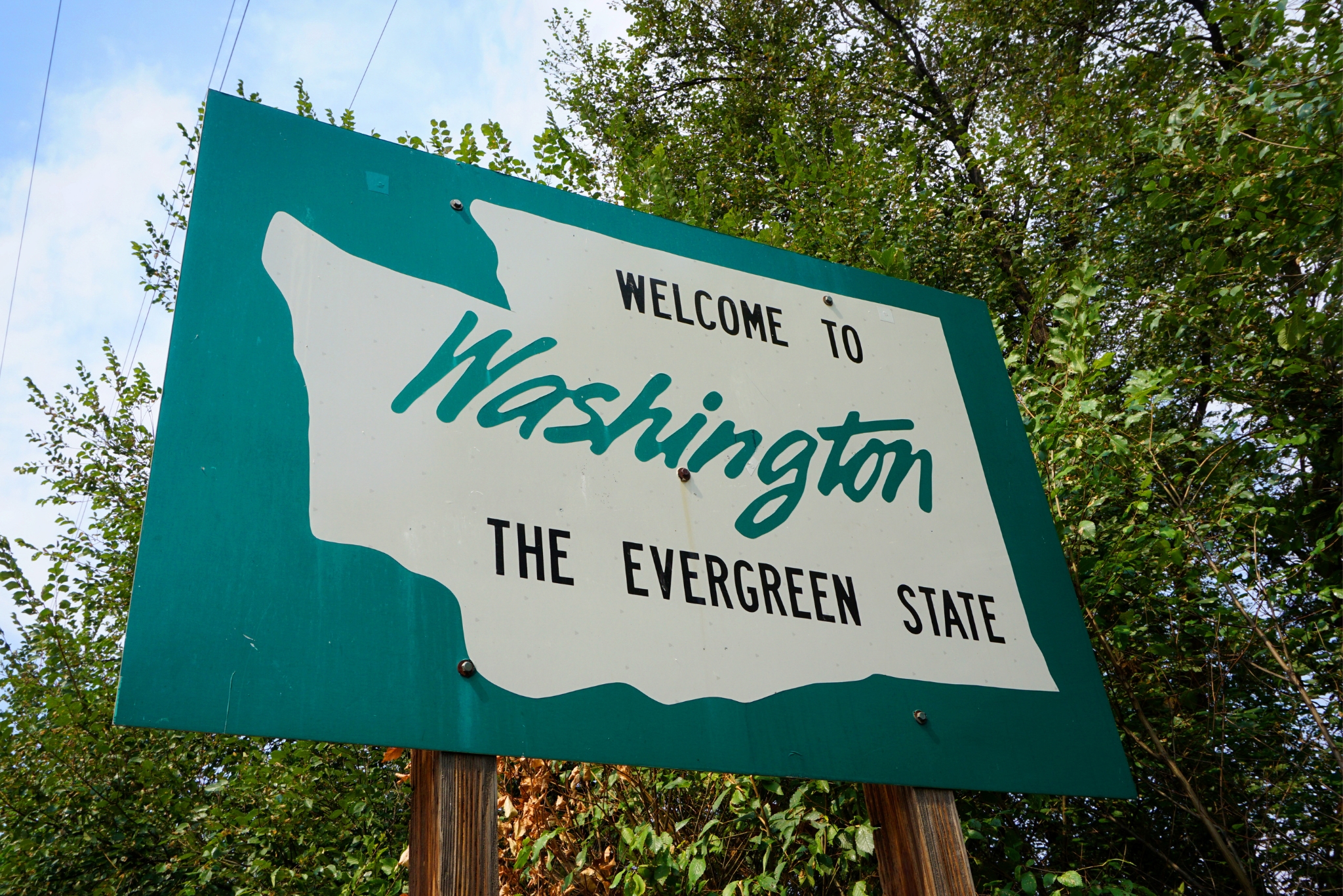 Washington Exotic Pet Laws