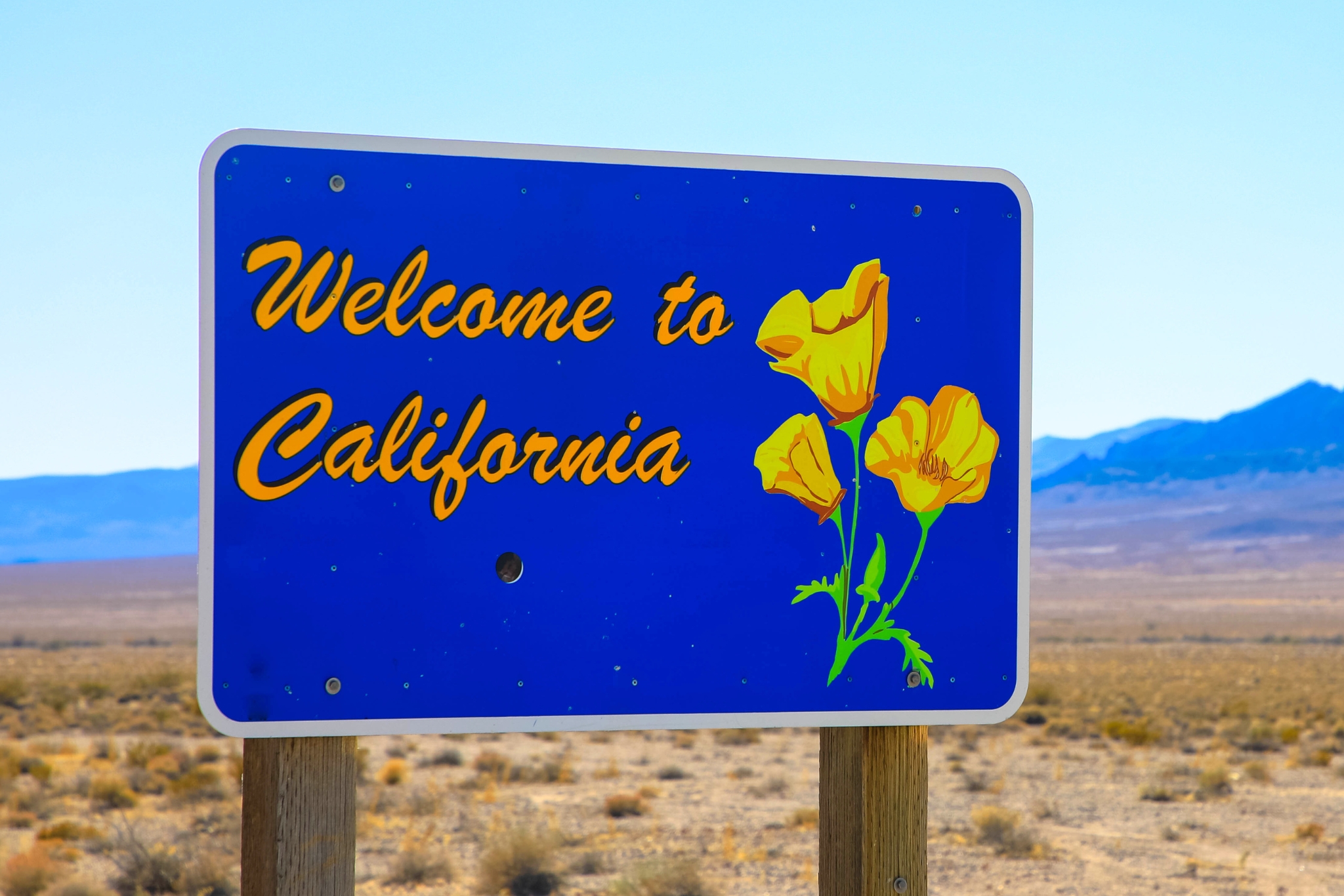 California Exotic Pet Laws