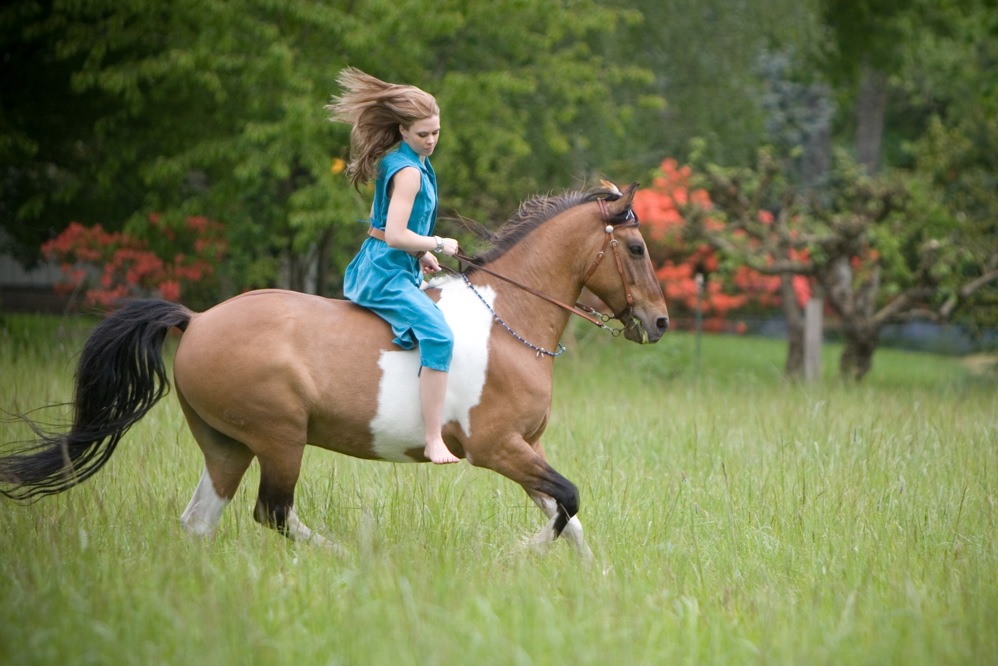 Bareback and Fabulous: 8 Benefits of Saddle Free Riding