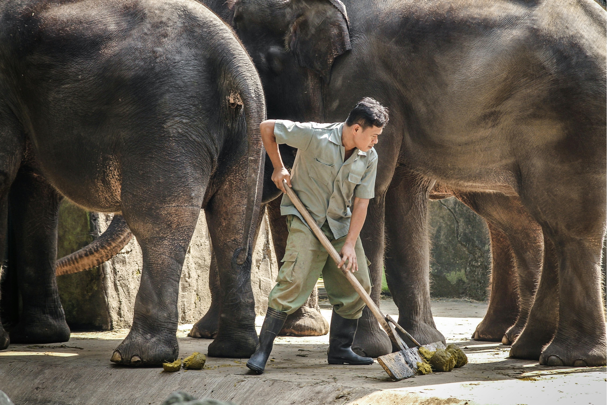 Free Contact vs. Protected Contact in Zoos: What's the Difference and Why It Matters