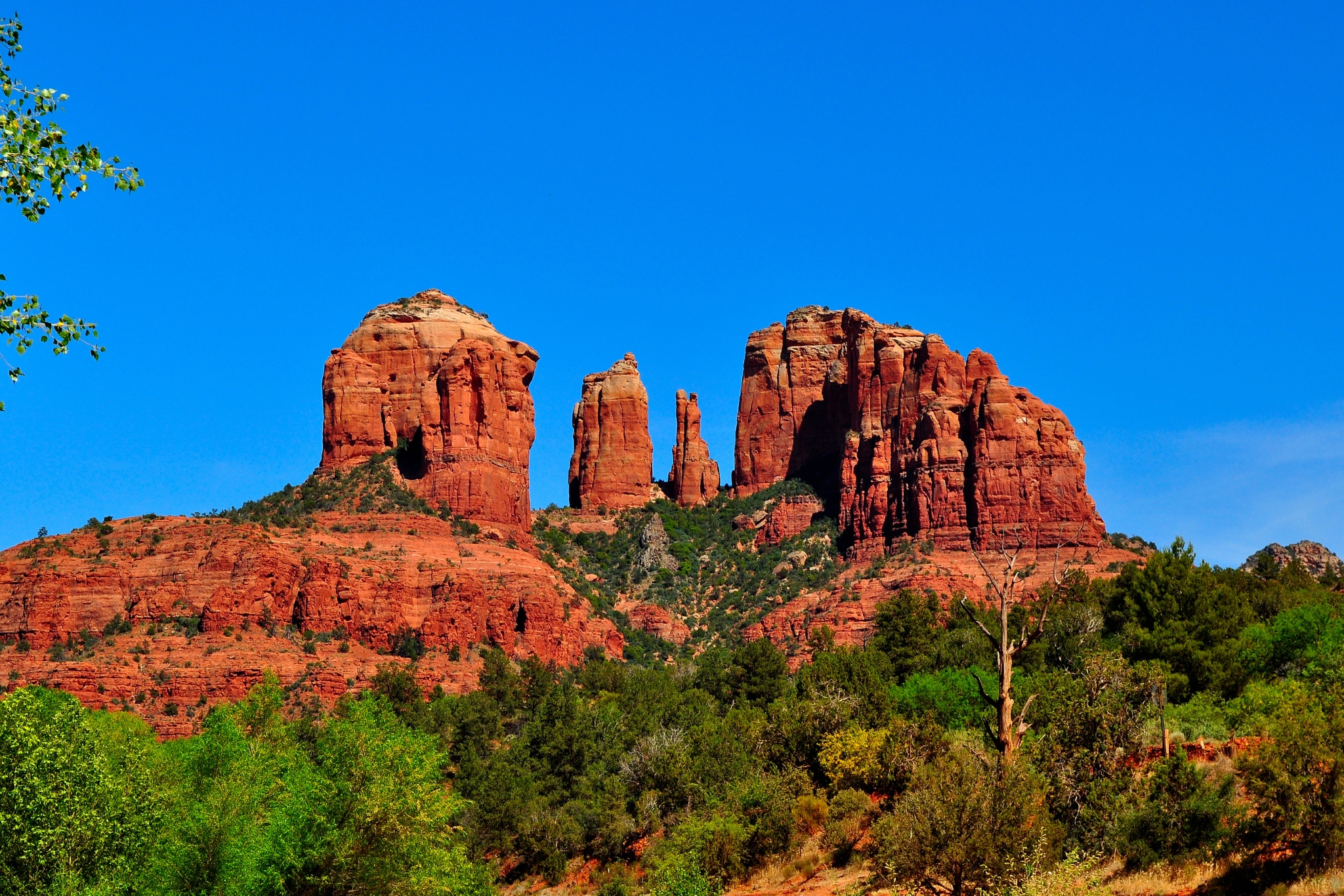 Arizona Exotic Pet Laws