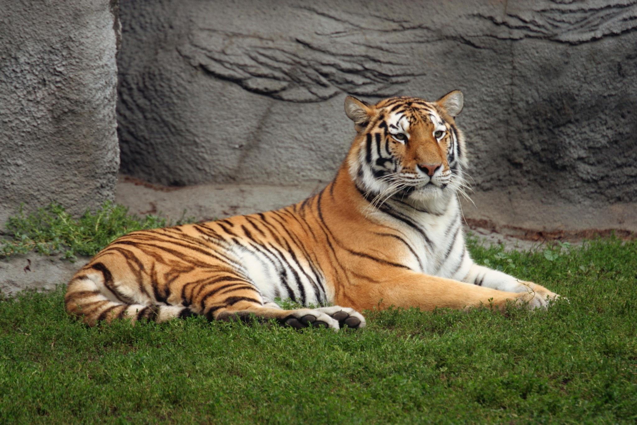 What Is a Teaching Zoo? What They Are, How They Work, and Why They Matter