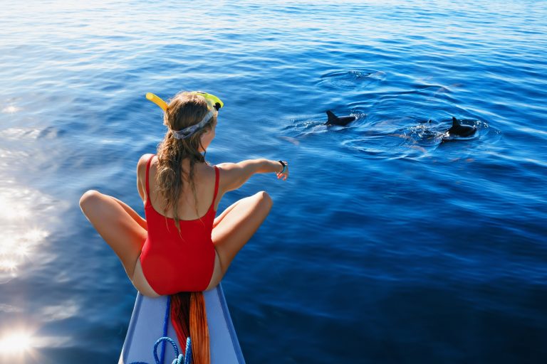 7 Best Places in the World to Swim With Dolphins (The Ethical Way)