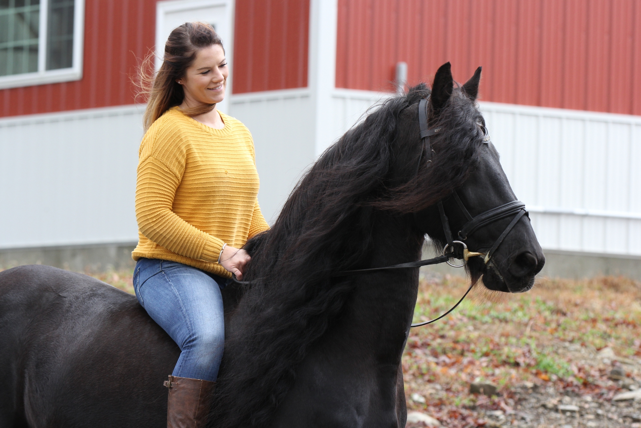 Rider on horseback demonstrating bareback riding