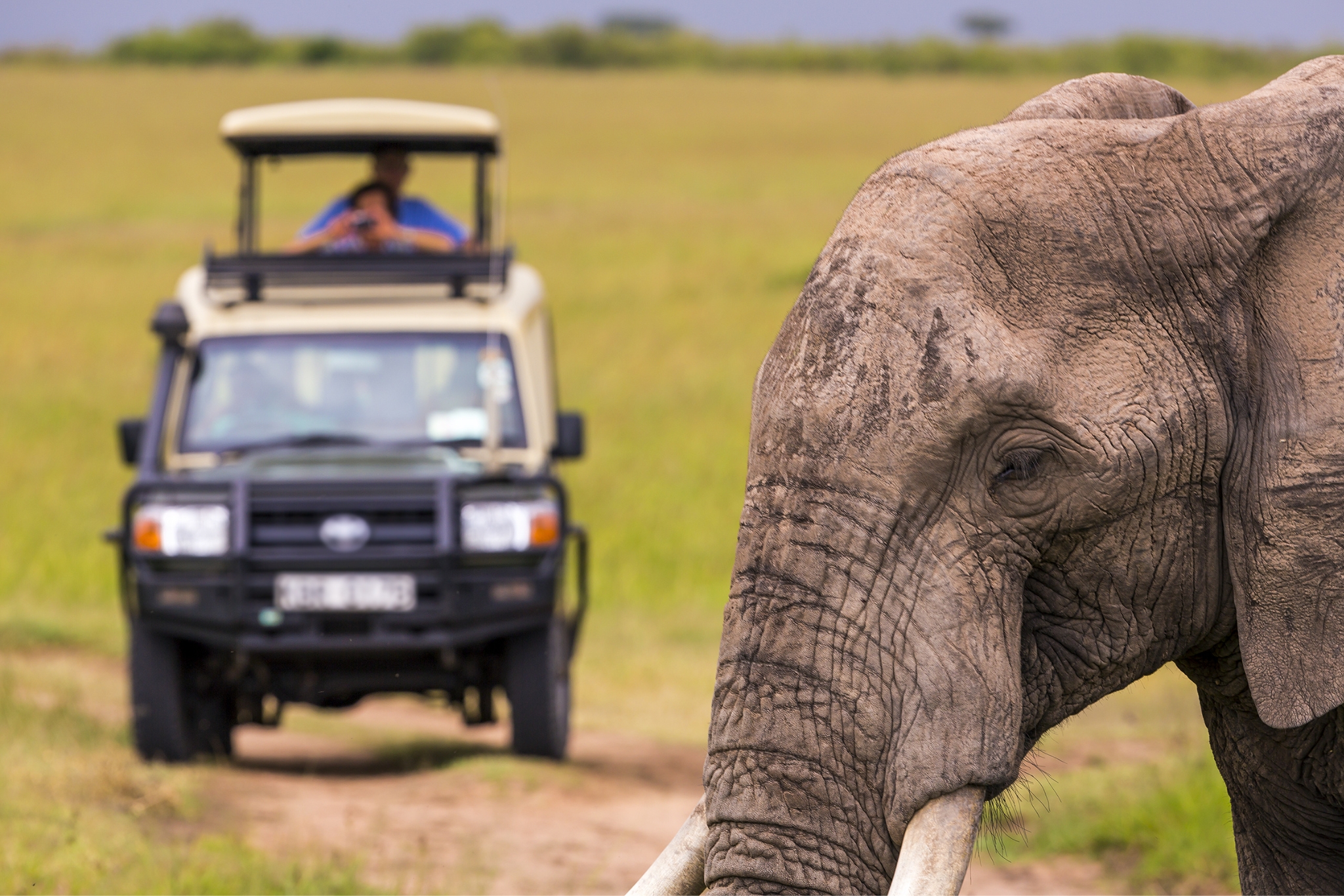 Best Places in the World to See Elephants
