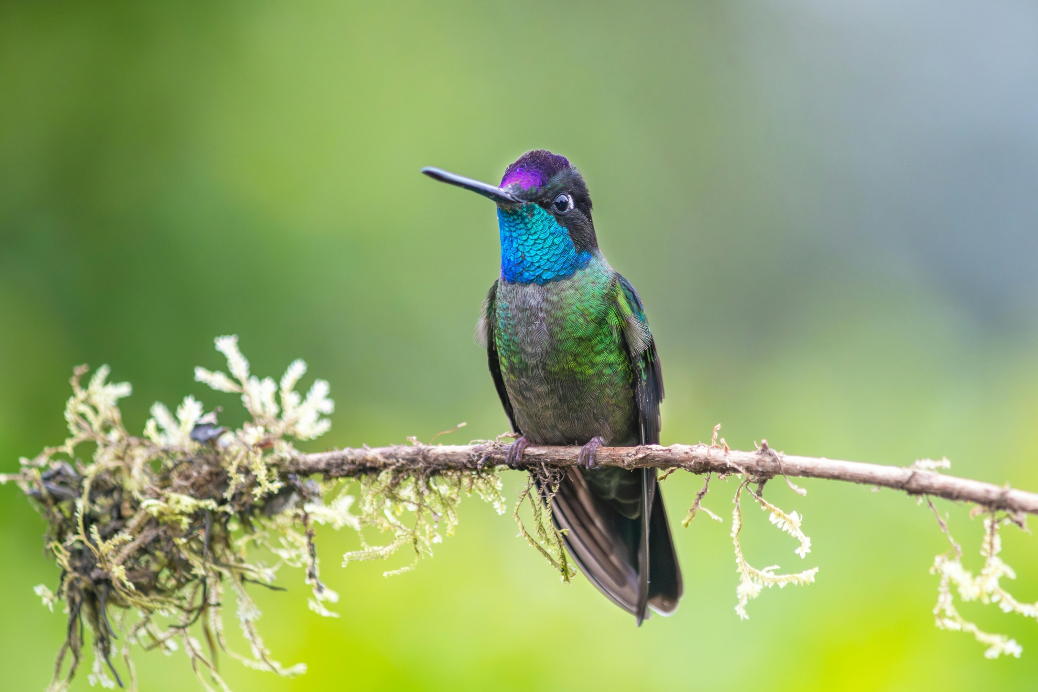 6 Best States for Birdwatching in America