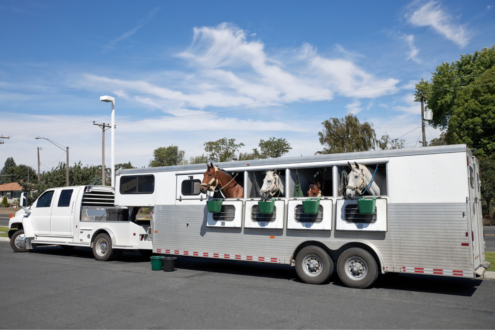 How to Choose a Horse Trailer: Expert Tips for Safety, Comfort, and Your Horse's Welfare