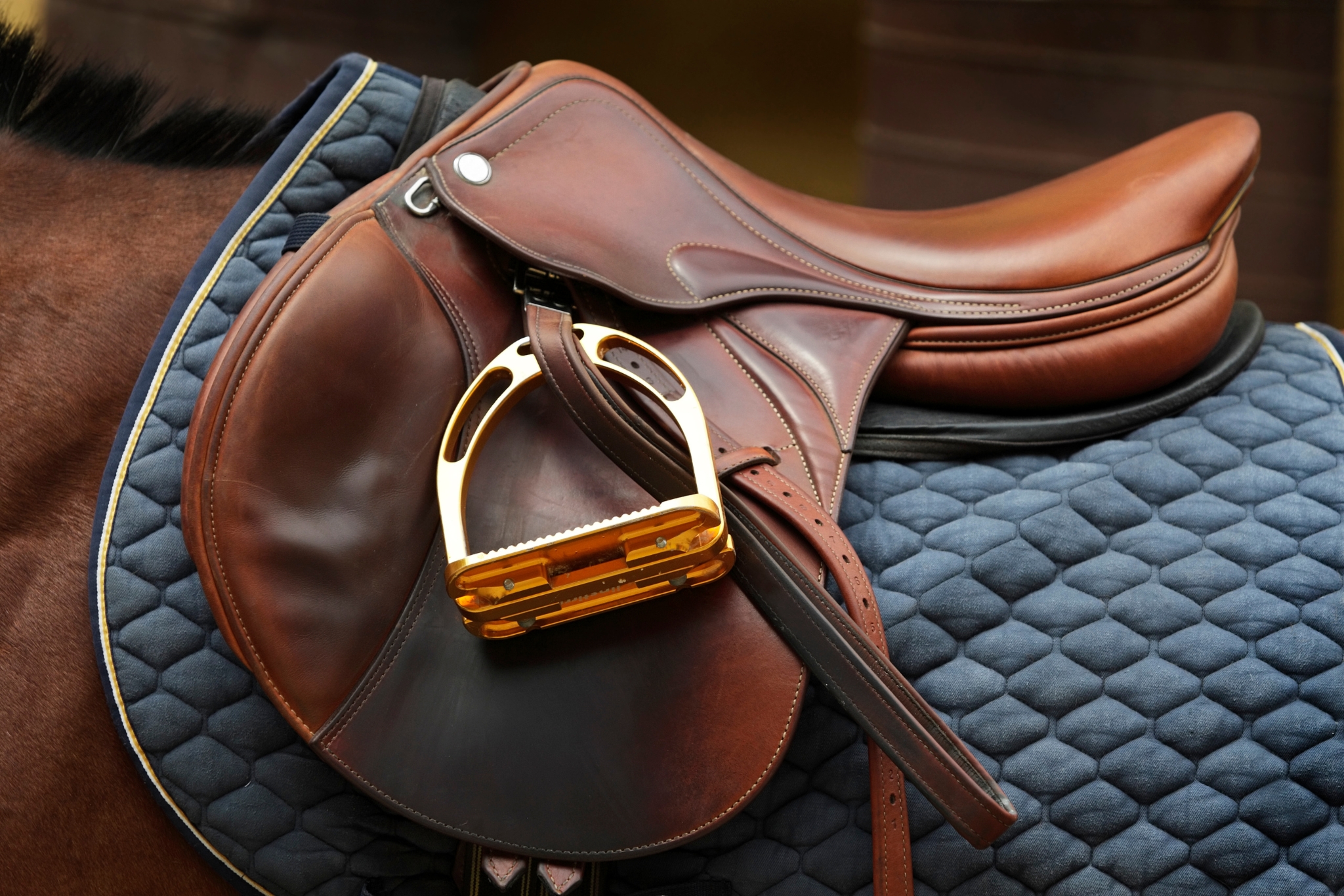 Is Your Saddle Hurting Your Horse? The Complete Guide to Professional Saddle Fitting