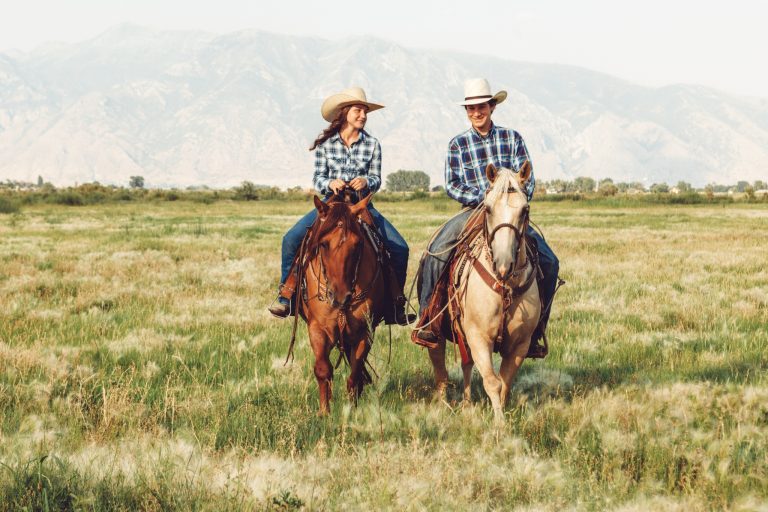 Expert Tips for Trail Horse Conditioning: Build Stamina, Strength, and Endurance