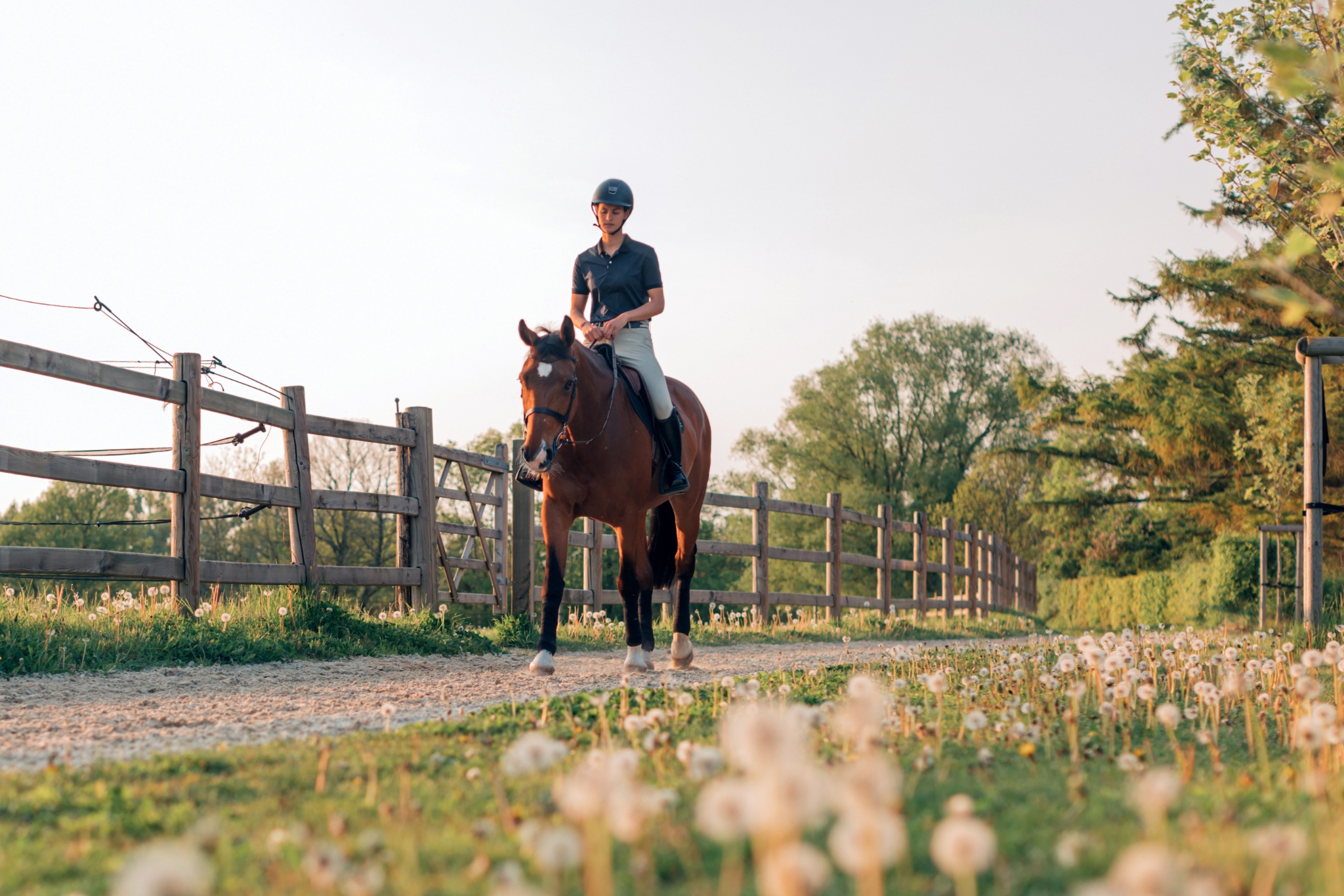 Where to Ride in the East Bay: The Best Horseback Trails from Berkeley to Livermore