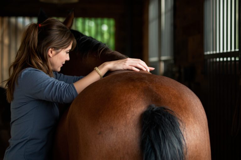 Equine Bodywork: The Missing Piece in Your Horse's Care Routine