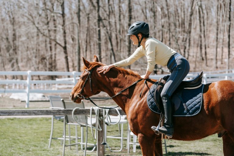 The Horse Owner's Guide to Reward-Based Training: Better Results, Happier Horses
