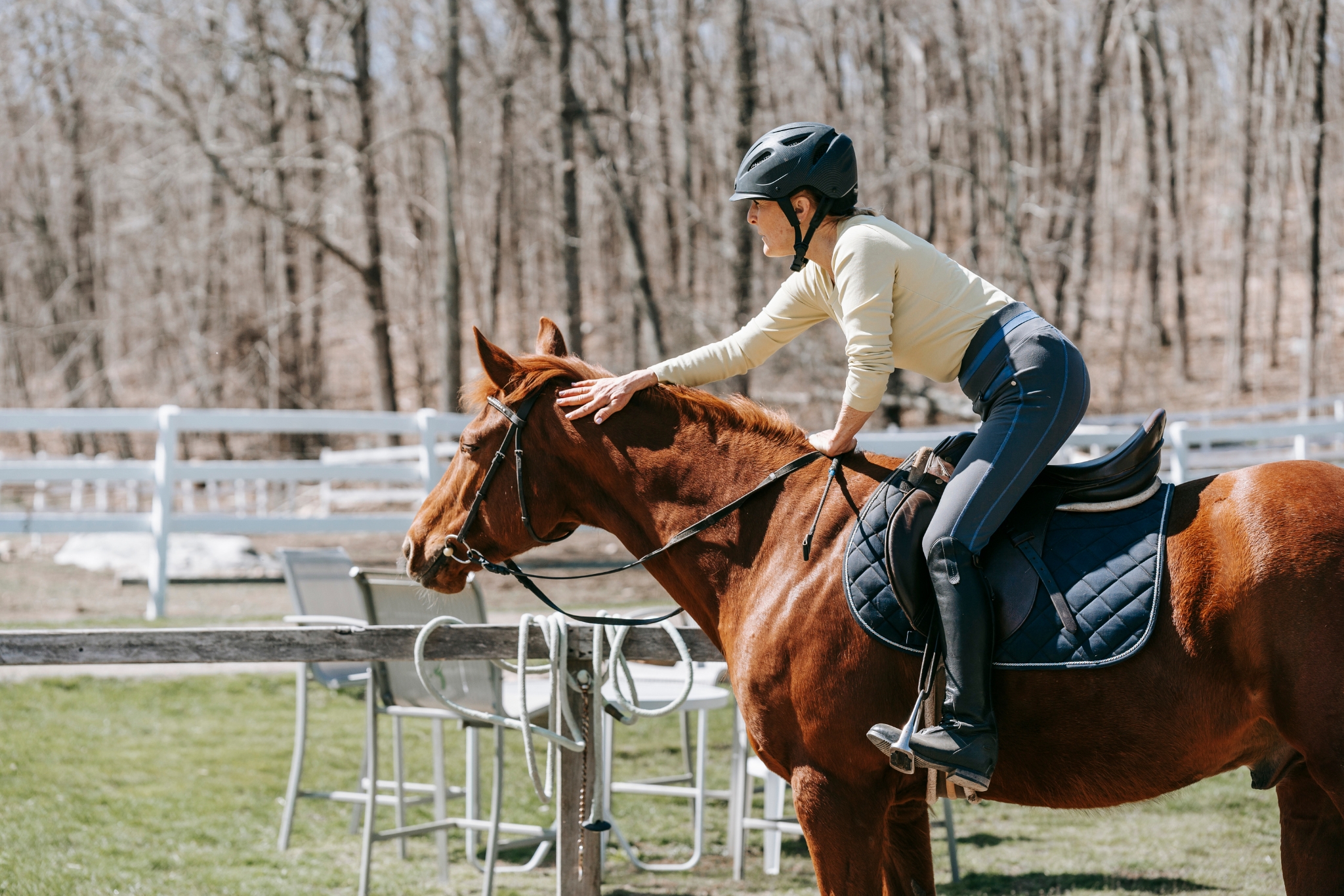 The Horse Owner's Guide to Reward-Based Training: Better Results, Happier Horses