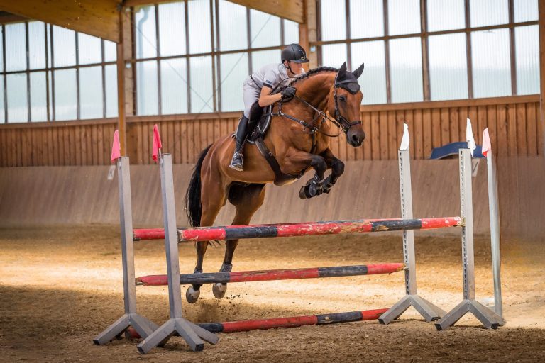 How to Train a Horse for Show Jumping (From First Pole to First Competition)