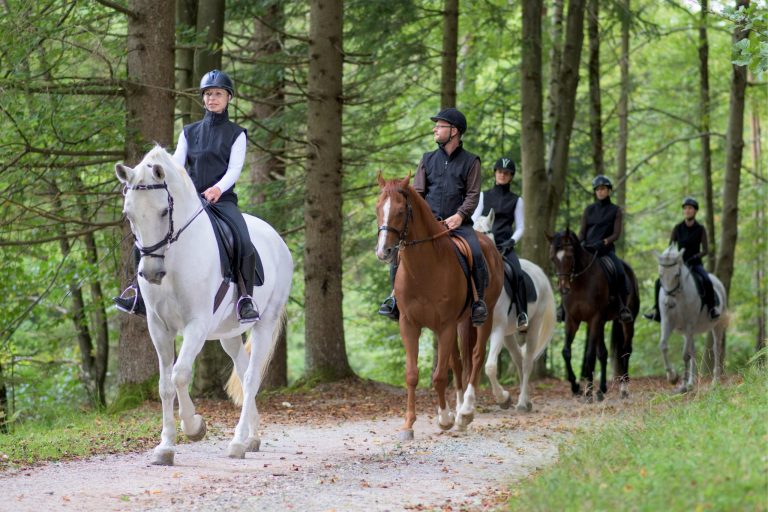 Best Trail Riding Spots in Ocala, Florida