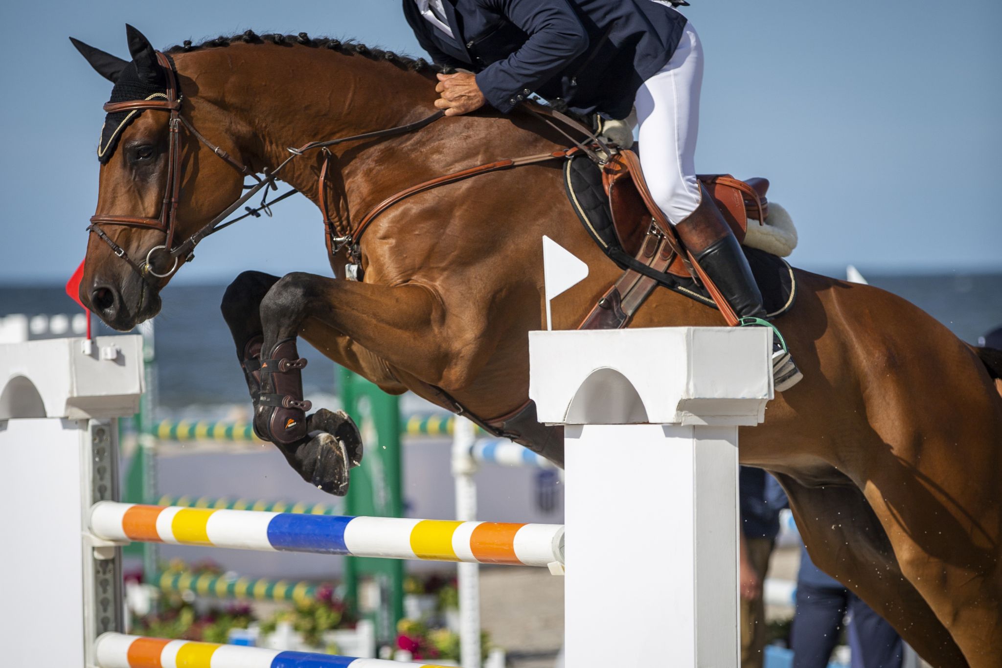 Show Jumping Horse Fitness: Expert Tips for Peak Performance