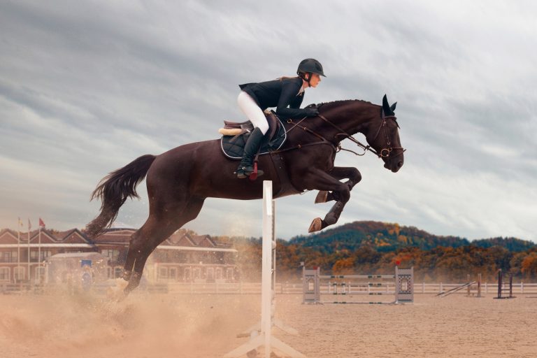 Sport Psychology for Equestrians: The Mental Edge Every Rider Needs