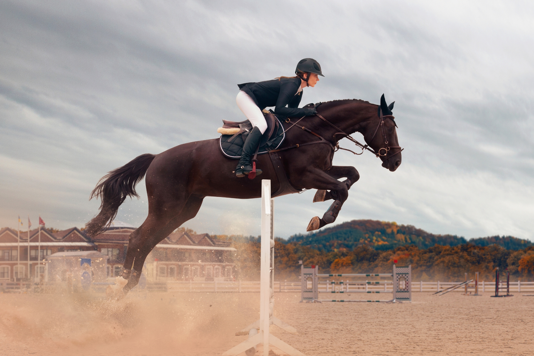 Sport Psychology for Equestrians: The Mental Edge Every Rider Needs