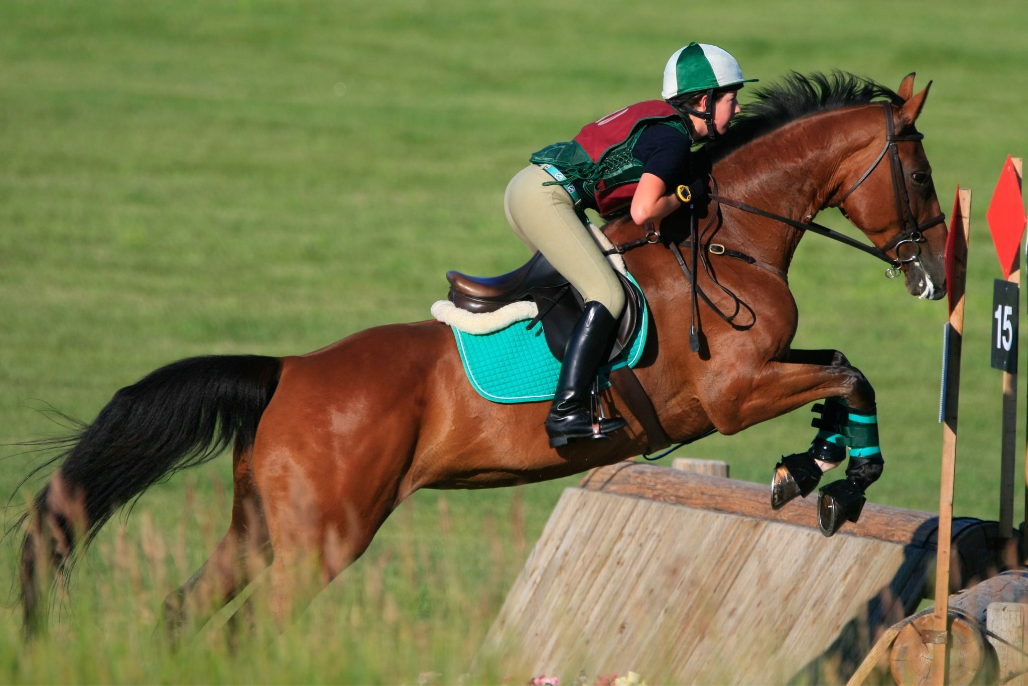 Eventing Levels Explained: A Complete Guide for US Riders
