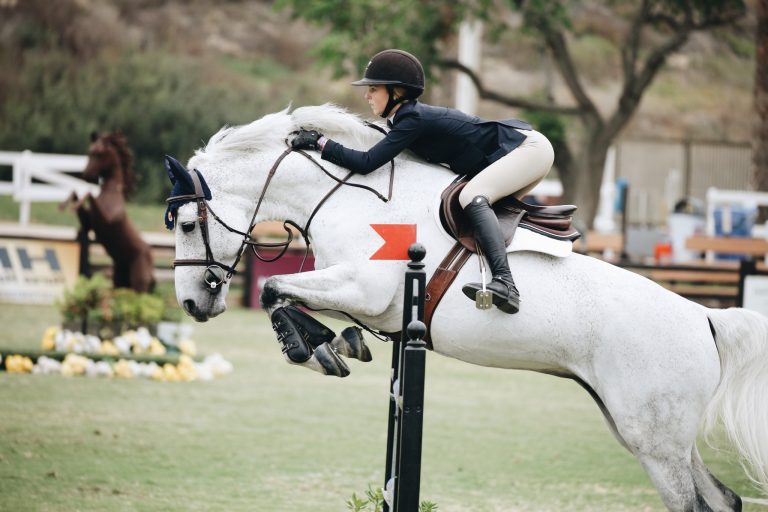 Wellington vs. Ocala: Which Florida Show Circuit Is Right for You?