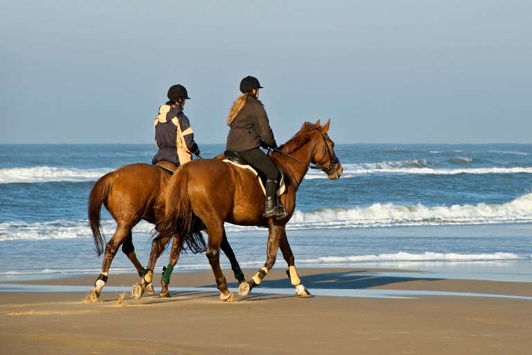 Best Beaches for Horseback Riding in the USA