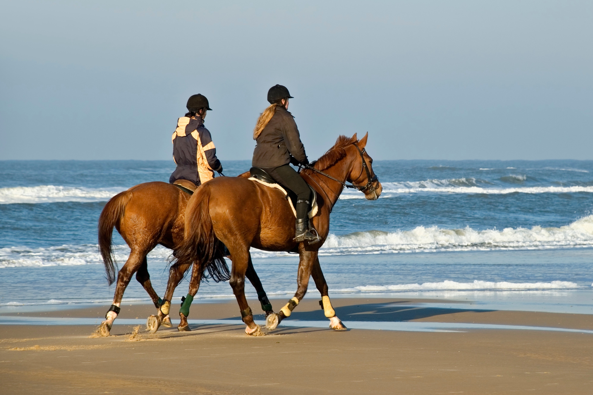 Best Beaches for Horseback Riding in the USA