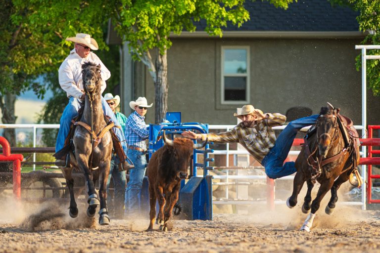 The Ultimate Rodeo Bucket List: 13 Biggest Events You Can't Afford to Miss