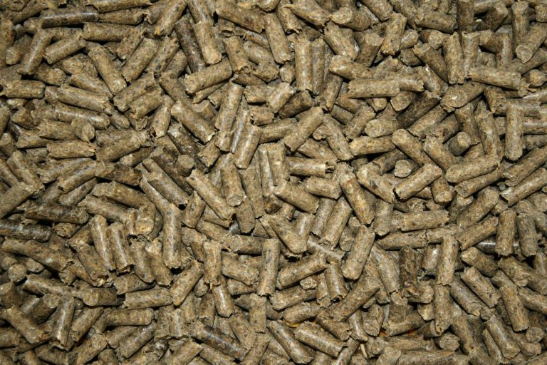 The Science Behind Feeding Horses Hay Cubes and Pellets: Pros, Cons, and Everything You Need to Know