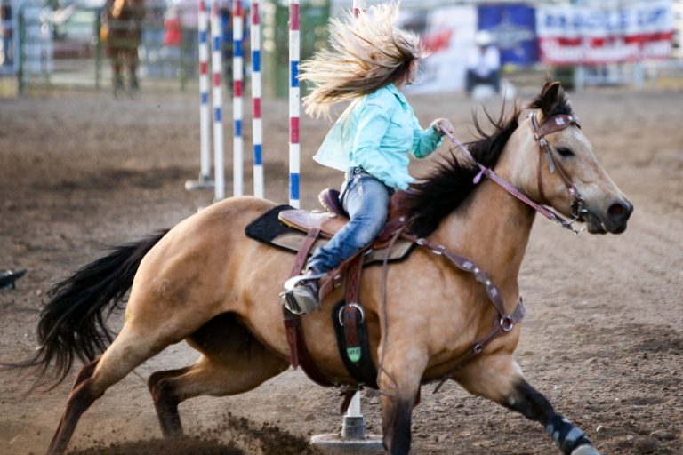 Horse Pole Bending for Beginners: Everything You Need to Know to Get Started