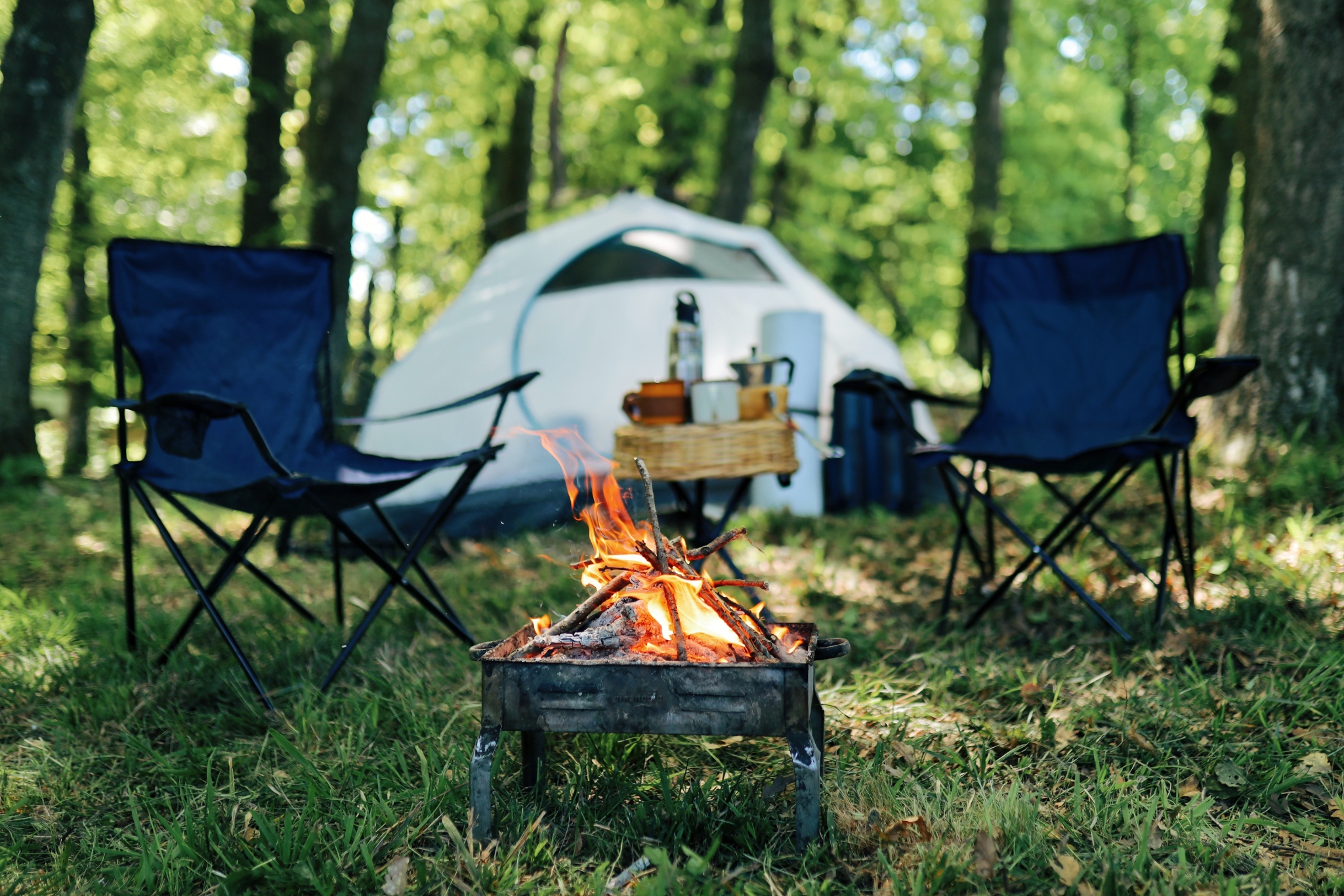 The Modern Camper's Guide to Bear Safety