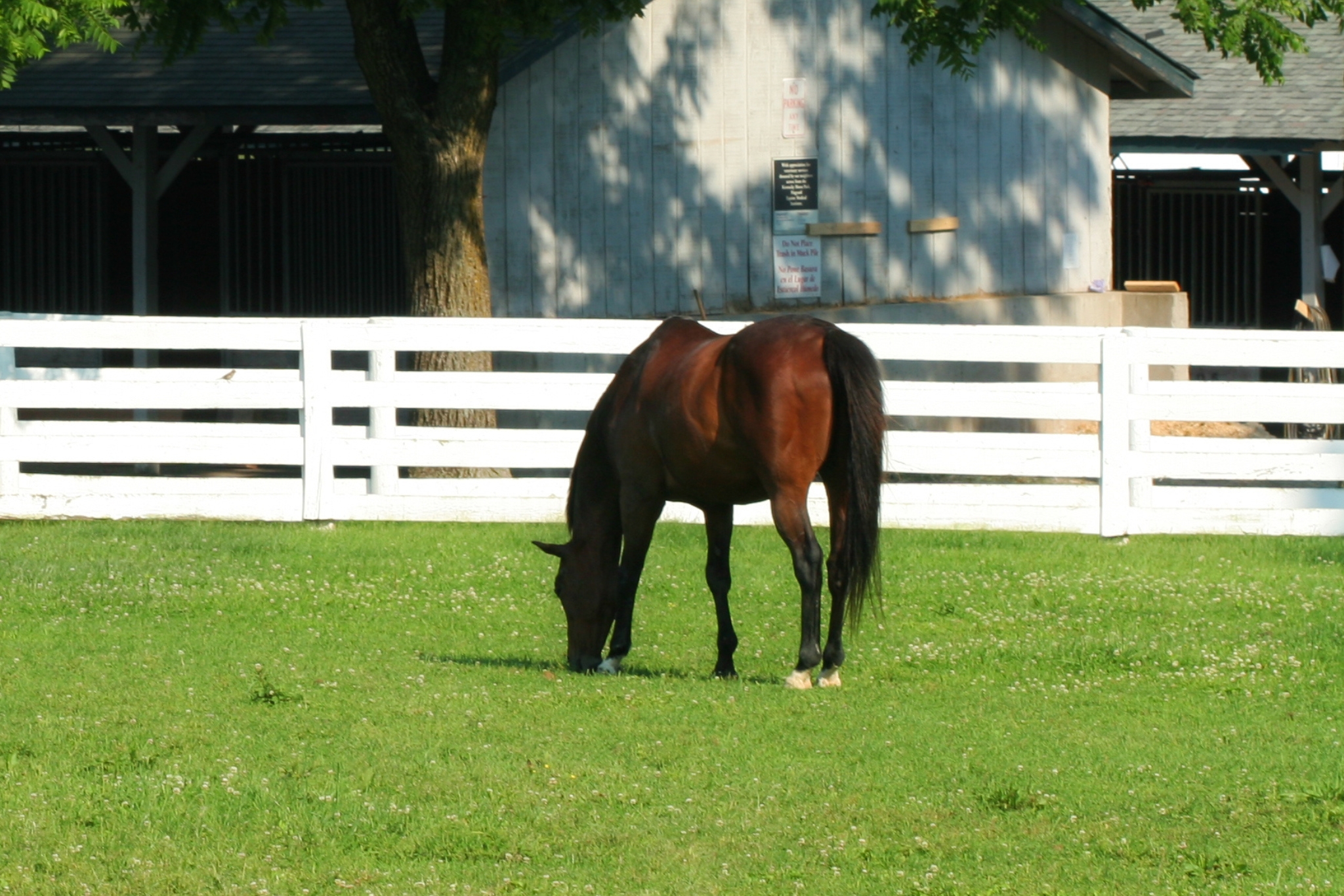 The Complete Bookkeeping Guide Every Equestrian Needs (Yes, Even You)