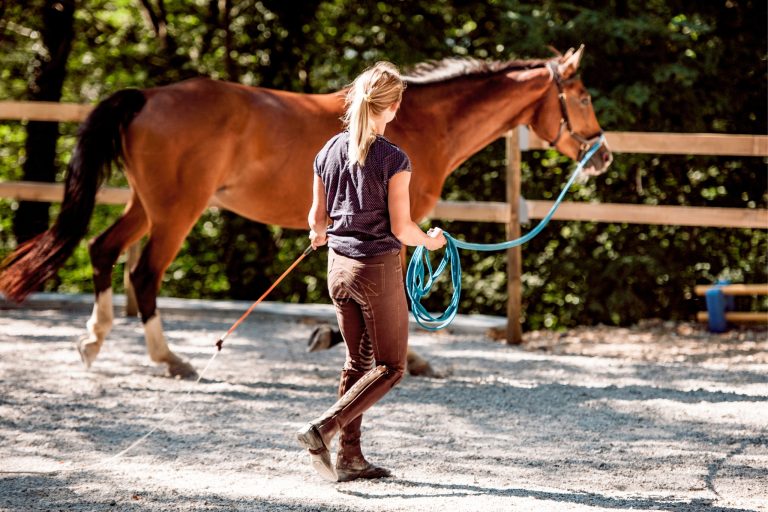 How to Build a Topline (and a Mindset) Before Backing Your Young Horse