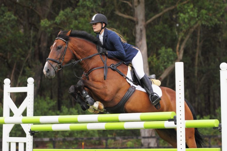 How to Prepare for Your First Show Jumping Show (Without Losing Your Mind)