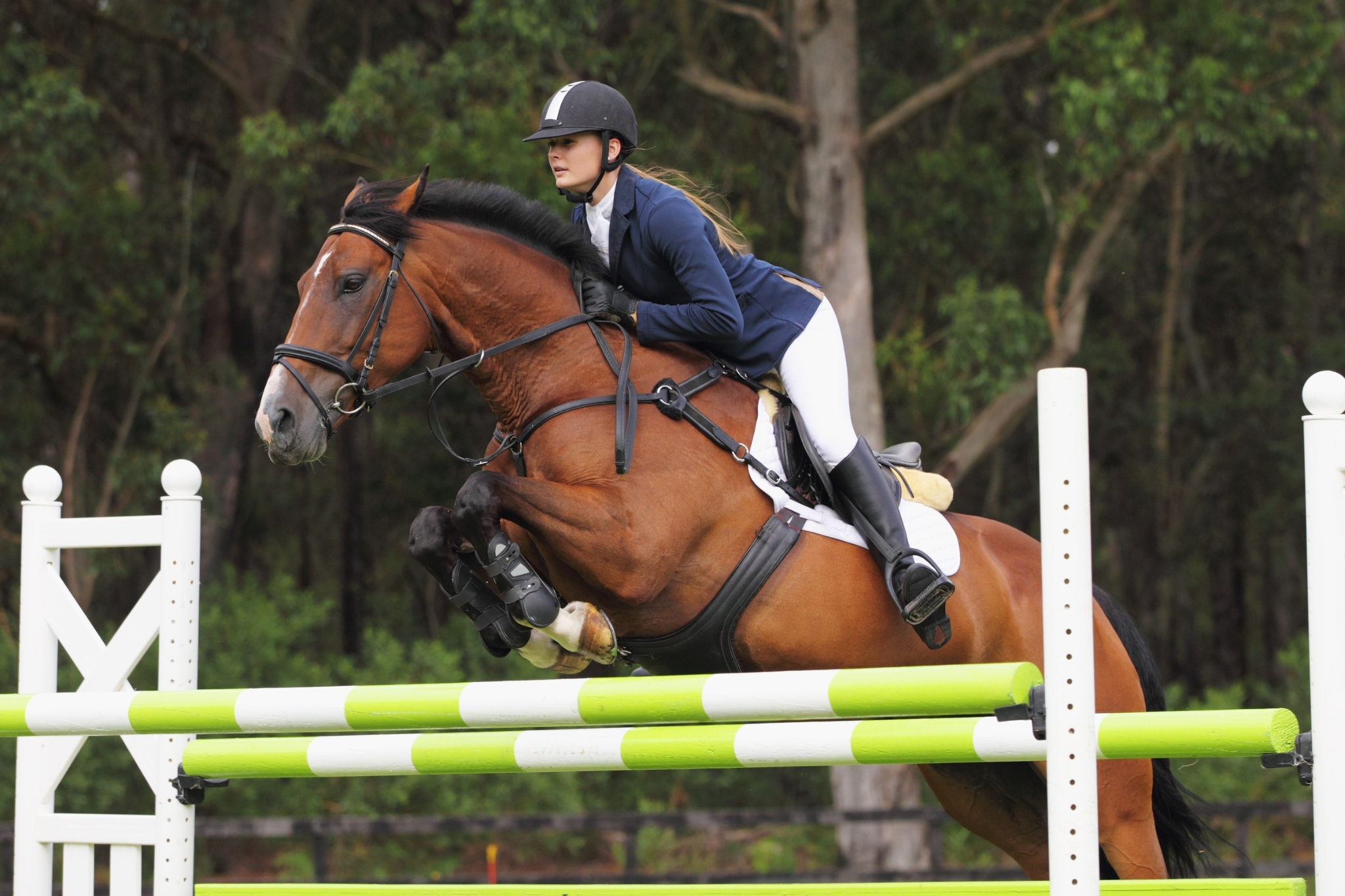 How to Prepare for Your First Show Jumping Show (Without Losing Your Mind)