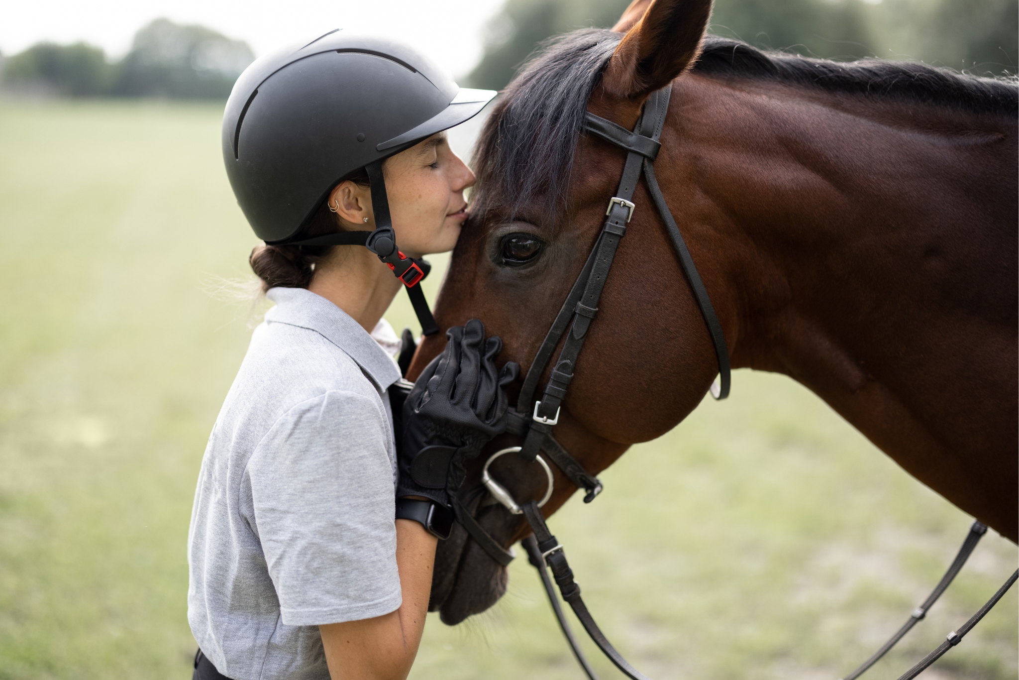 How to Bond With Your New Horse: Expert Tips for Building a Lifelong Partnership