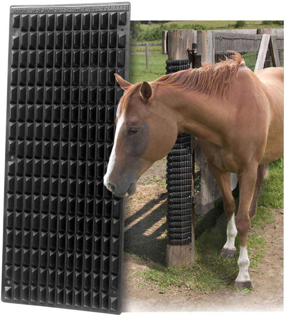 The Equine Scratcher