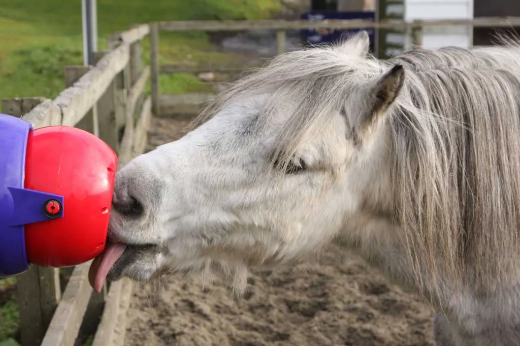 Likit Tongue Twister Equine Toy