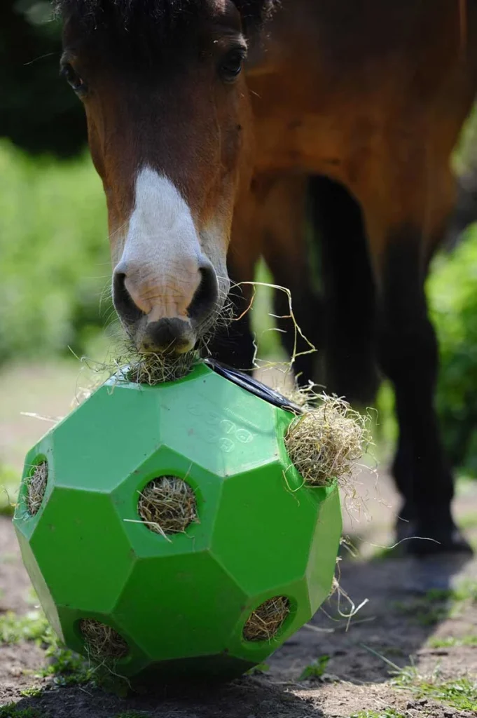 Hay Play Horse Feed Toy