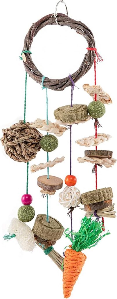 SunGrow Teeth Grinding Cage Hanging Chew Toy